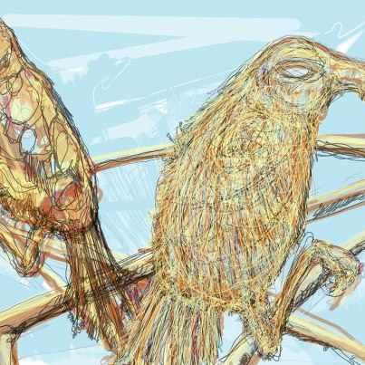 374147_10151091935471770_410231330_n